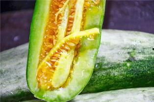 网红吃瓜网站是哪个,网红吃瓜网站背后的热门秘密