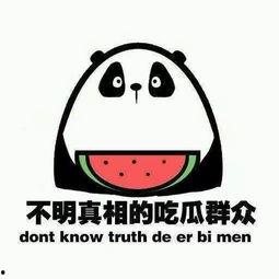 吃瓜网太卡,揭秘网络拥堵背后的真相