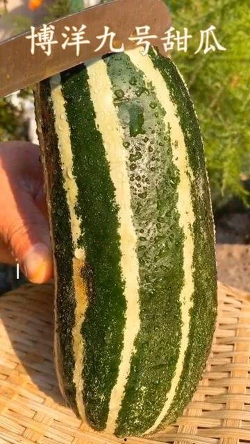 吃瓜网怎么没有了,吃瓜网神秘消失背后的真相