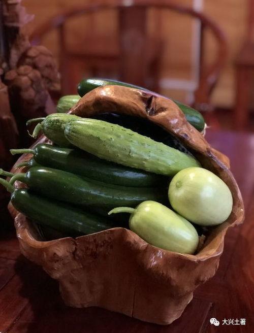 wx网红吃瓜,揭秘wx网红圈背后的那些事儿