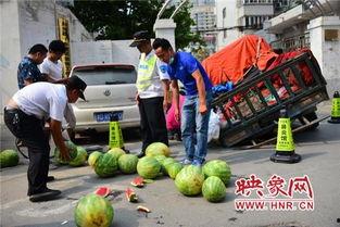 朝阳热心市民吃瓜网,揭秘都市生活百态，共享社区欢乐时光
