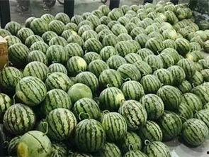 校园网吃瓜,揭秘校园热点事件背后的真相