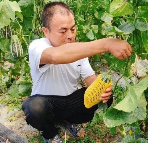 海角网暴吃瓜网,揭秘网络舆论场的双面魅力