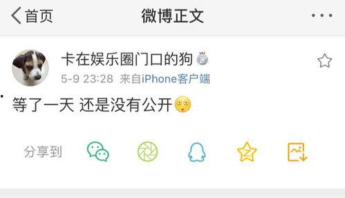 网爆吃瓜爆料视频下载