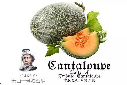 网红吃瓜营销号是什么意思,揭秘网络热点背后的秘密