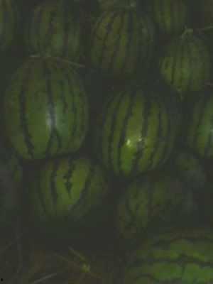 吃瓜台湾网红是谁