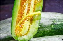 上海网红吃瓜视频下载,揭秘都市生活背后的八卦风云