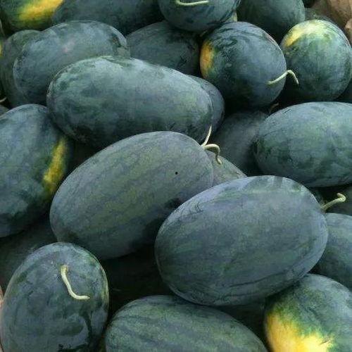 玩网吃瓜,玩网吃瓜，揭秘明星幕后故事